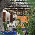 La Enramada: Alojamiento/Hotel en Amaicha del Valle, Tucumán, Argentina