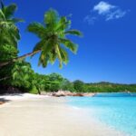 Las Maldivas: Un paraíso tropical con mucho que ofrecer