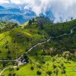 Sri Lanka: Guía de la mejor época para viajar según el clima y las regiones