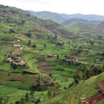 Uganda: Clima cálido y escasas precipitaciones durante todo el año